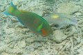 IMG_2083 (2)